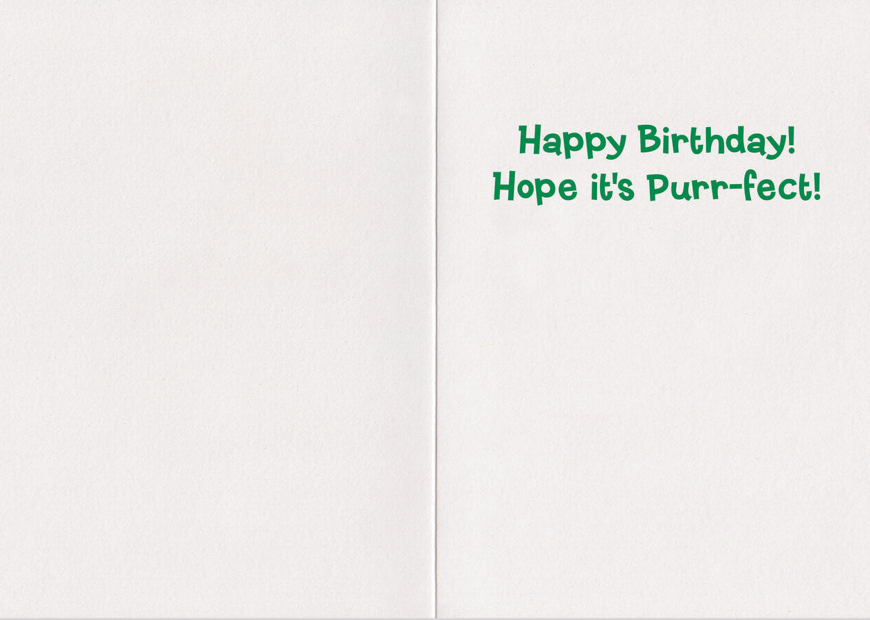 Peaceable Kingdom Realistic Cat Birthday Card 5 x 7 in