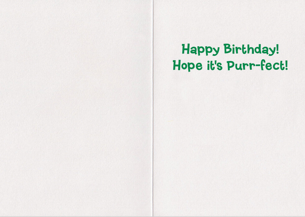 Peaceable Kingdom Realistic Cat Birthday Card 5 x 7 in