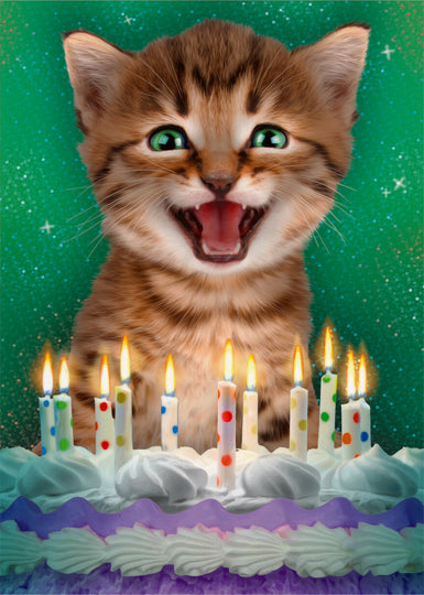 Peaceable Kingdom Realistic Cat Birthday Card 5 x 7 in
