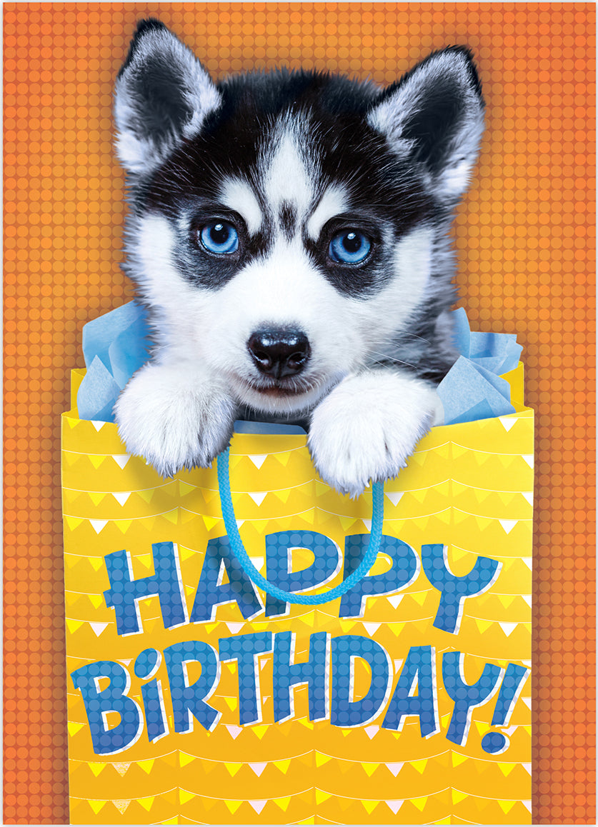 Peaceable Kingdom Husky Foil Birthday Card