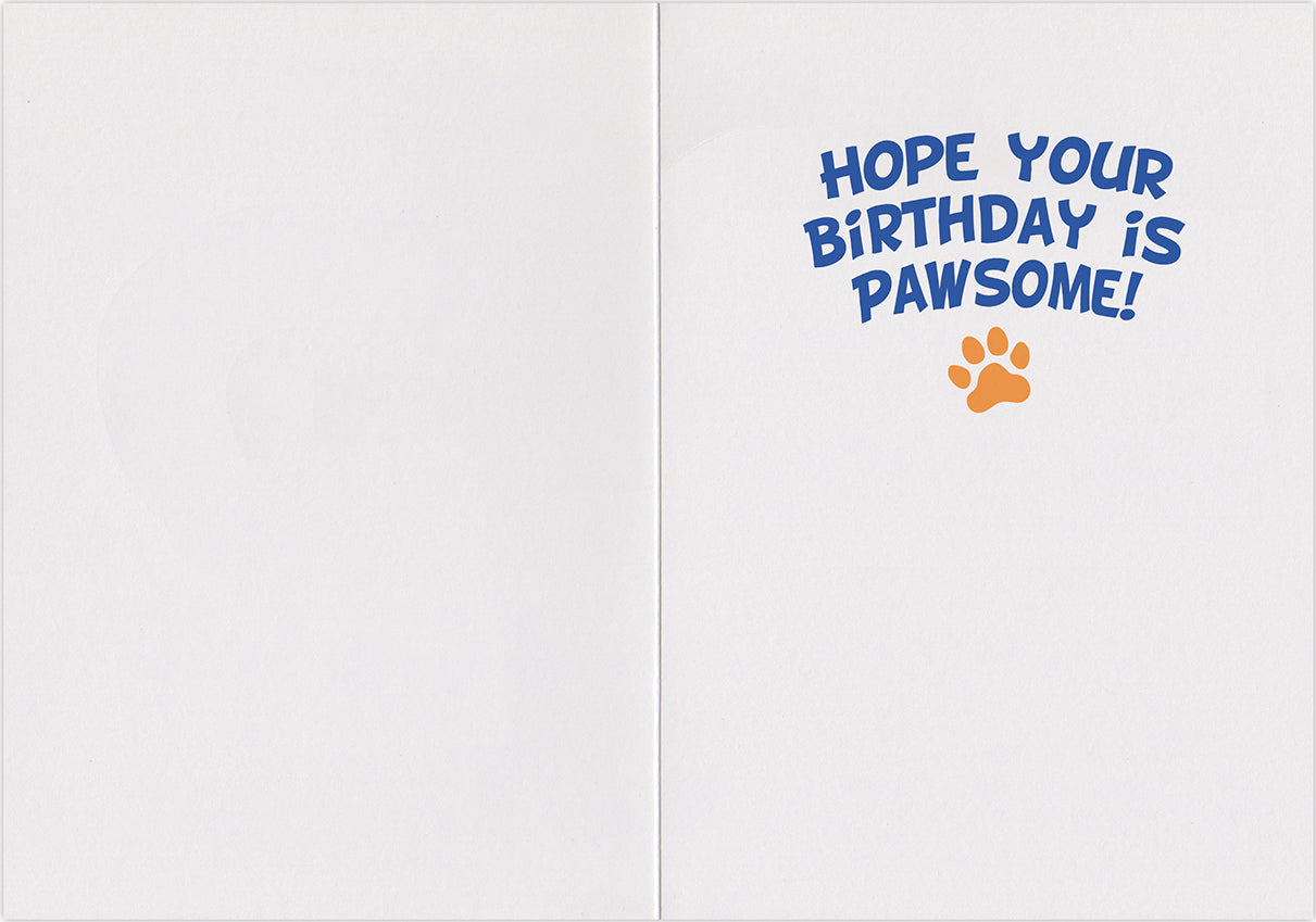 Peaceable Kingdom Husky Foil Birthday Card