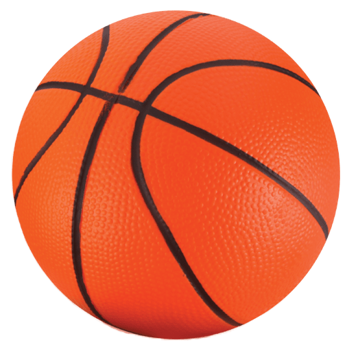 https://cdn.shopify.com/s/files/1/0564/1197/9932/files/nsgproducts-fitness-nsg-over-the-door-basketball-15312612687908.png?v=1740041490
