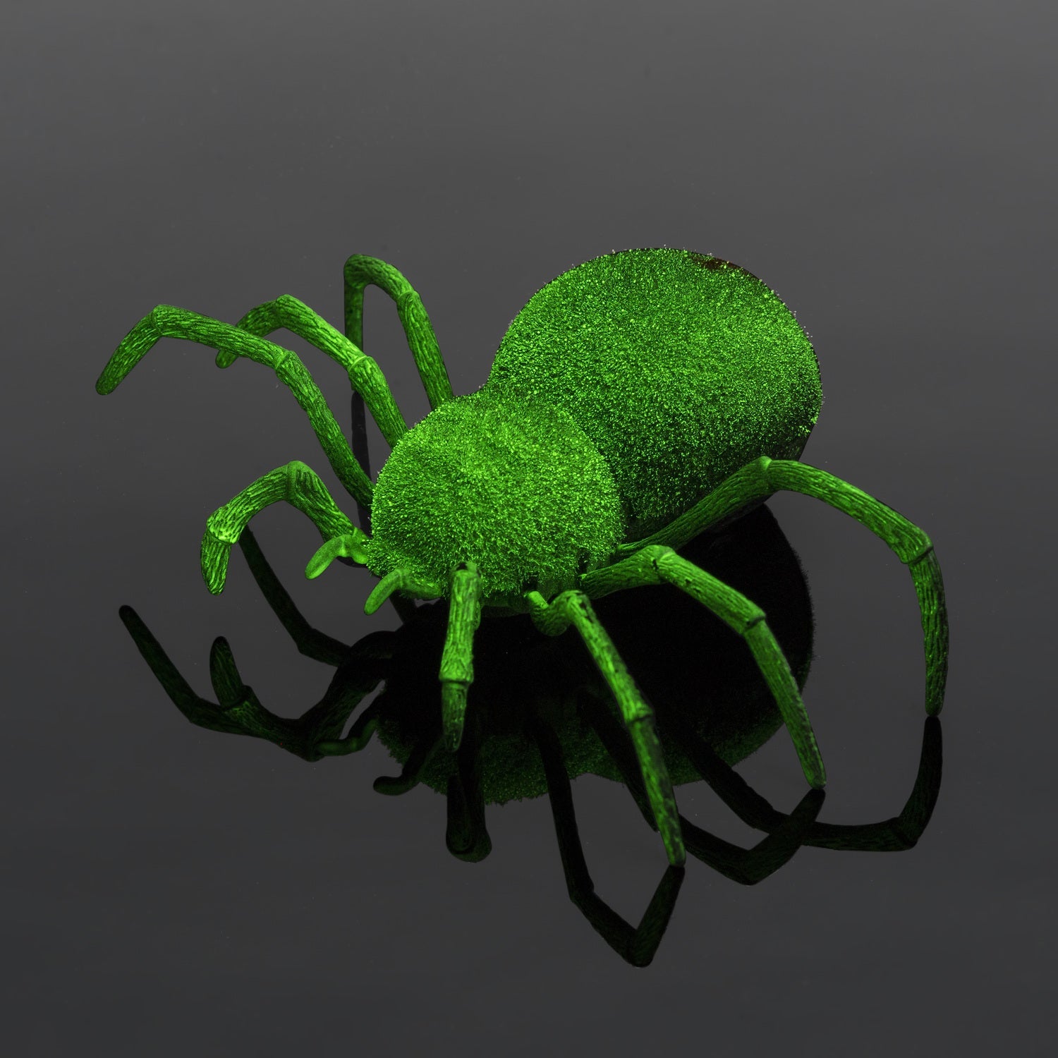 Odyssey Toys RC Spooky Spider Toy