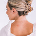 https://cdn.shopify.com/s/files/1/0065/8459/8593/products/open-blonde-tortoise-large-hair-clip-large-hair-clip-250800.jpg?v=1742567602