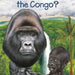 * Where Is the Congo?