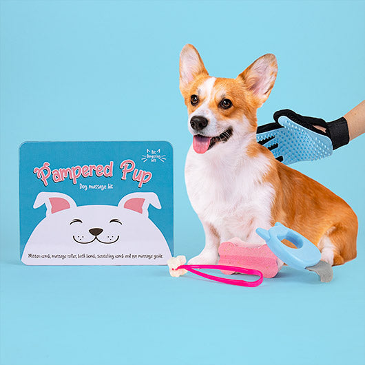 Pampered Pup: Dog Massage Kit