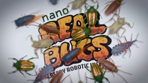 HEXBUG Real Bugs Nanos 5 Pack