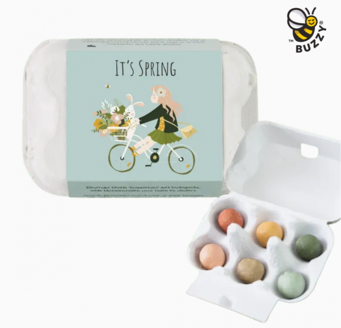It's Spring Egg Carton