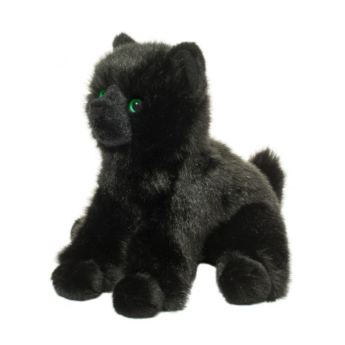 Salem Floppy Black Cat