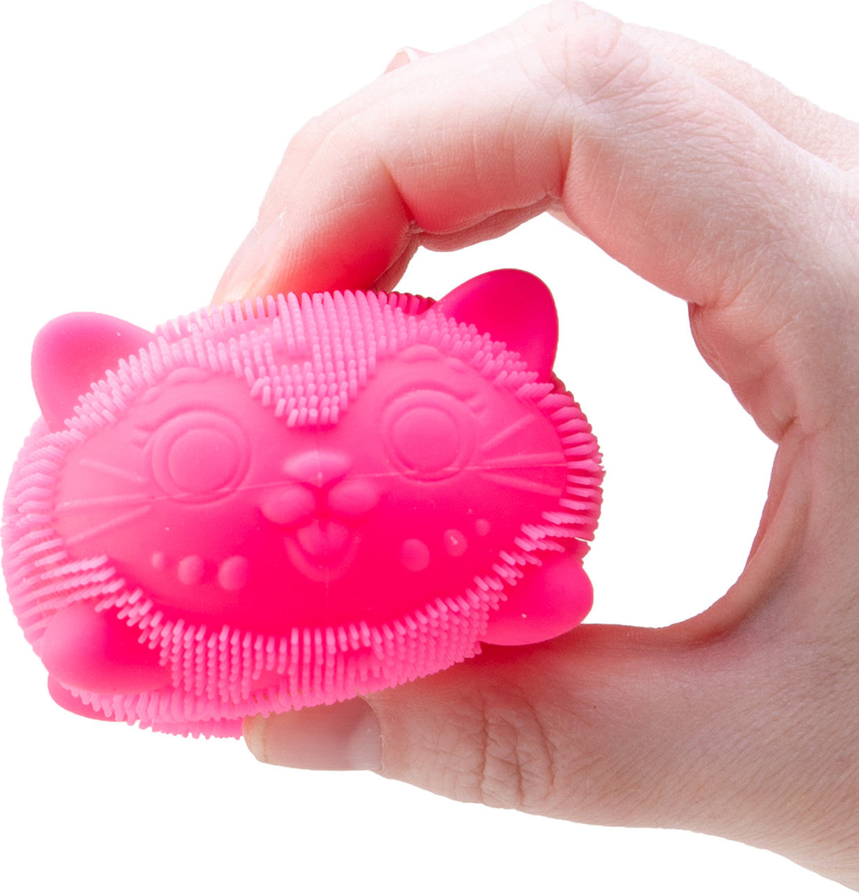 PRE ORDER (ARRIVES ON OR BEFORE FEBRUARY 15TH): Wild Cats Fuzz Balll NeeDoh