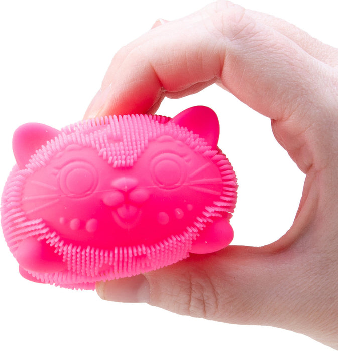 PRE ORDER (ARRIVES ON OR BEFORE FEBRUARY 15TH): Wild Cats Fuzz Balll NeeDoh