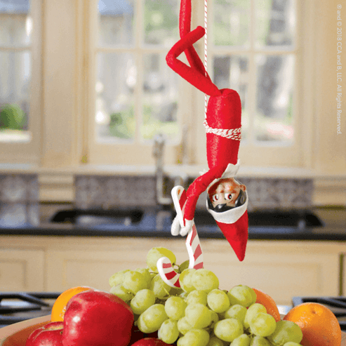 Elf on the Shelf: Scout Elves at Play®