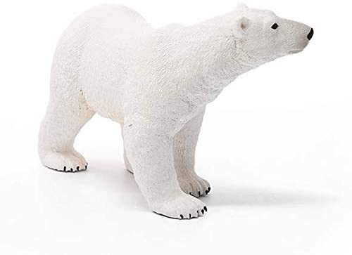 Polar Bear