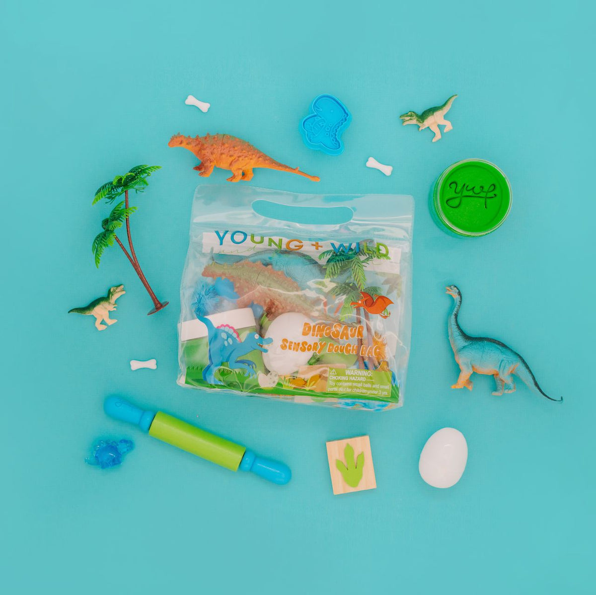 Dinosaur Sensory Bag