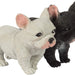 Pocket Pups