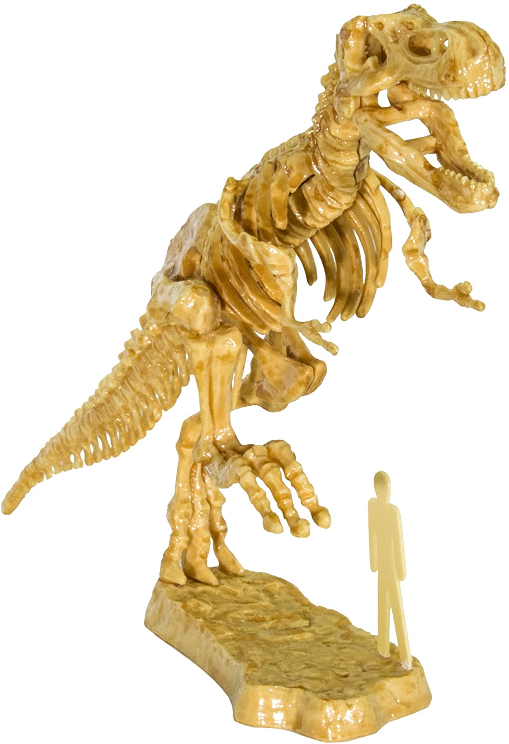 3d T Rex Excavation Kit