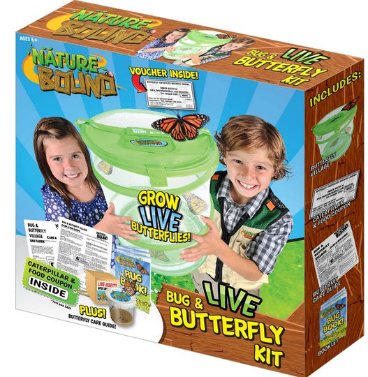 Bug Butterfly Village