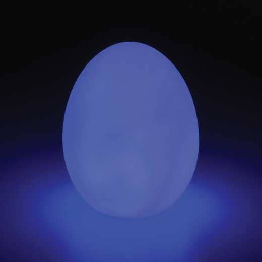 Glowing Egg