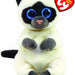 Miso Cat Regular
