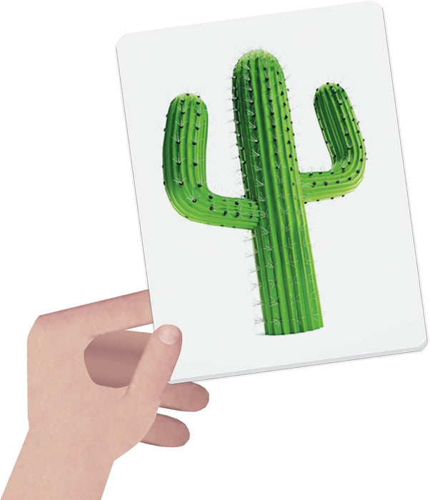 Flashcards Color Montessori