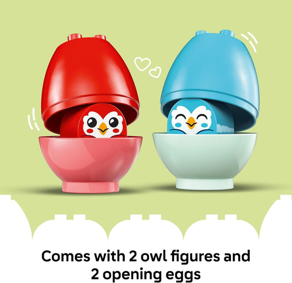 Balancing & Stacking Tree