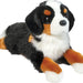 Deluxe Bernese Mountain Dog