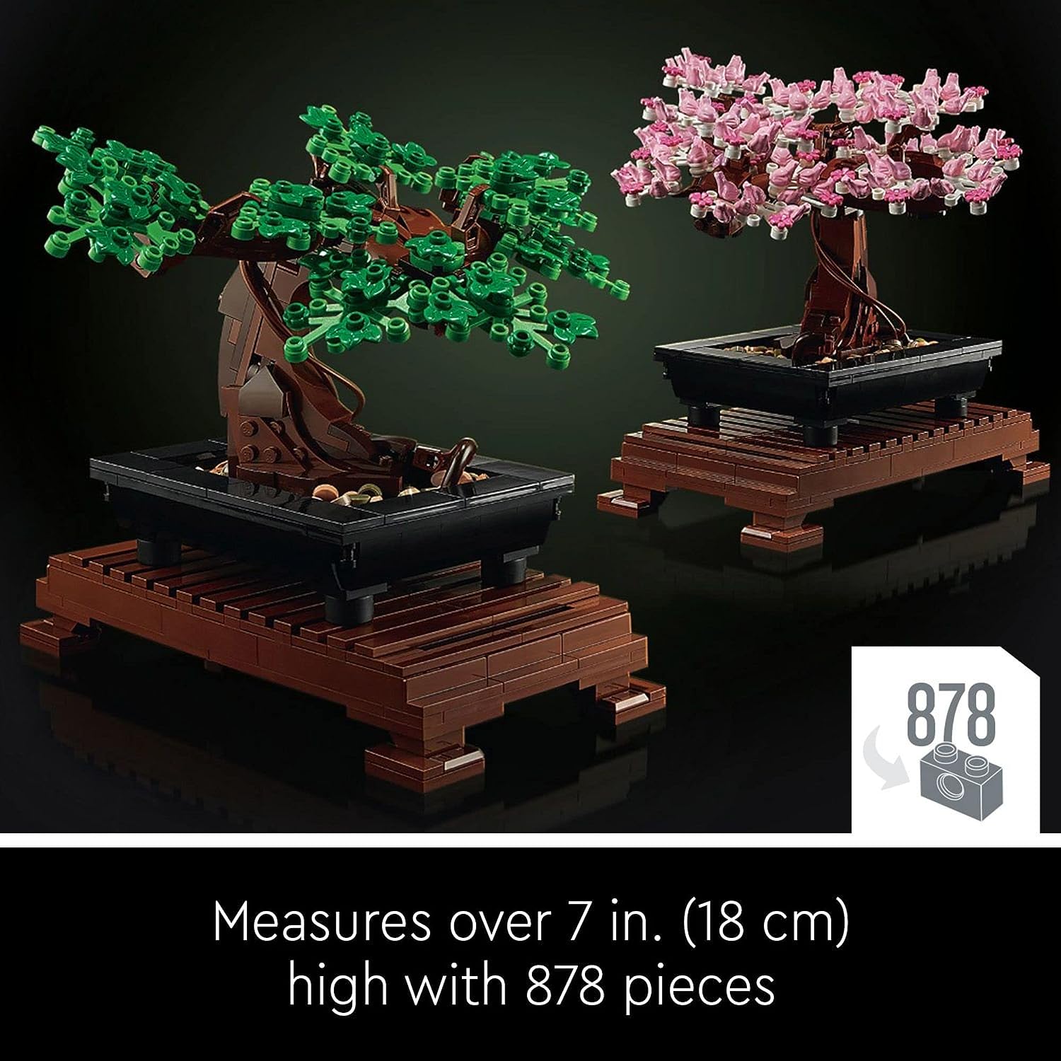 Bonsai Tree