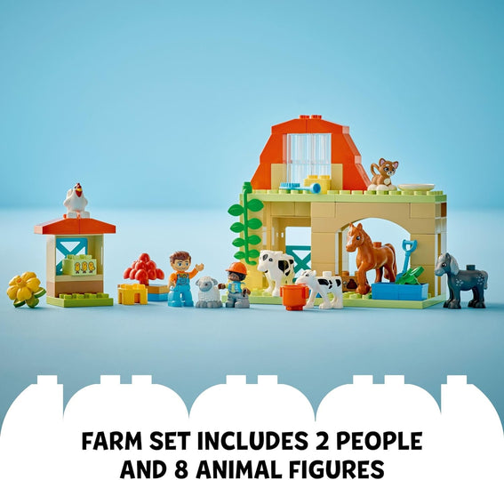 Caring for Animals at the