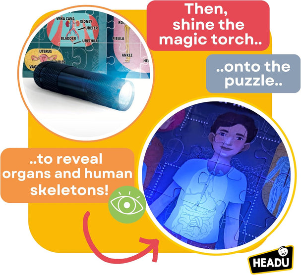 Human Body Under X-Ray