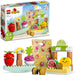 Organic Market