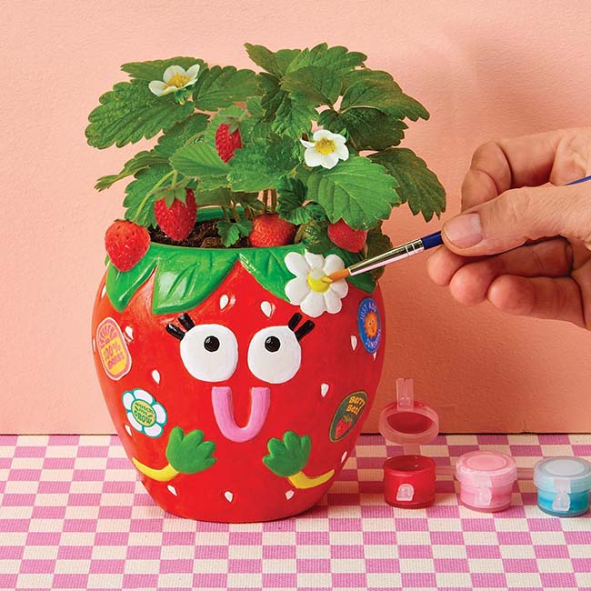 Paint & Grow Strawberry Planter