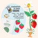 Paint & Grow Strawberry Planter