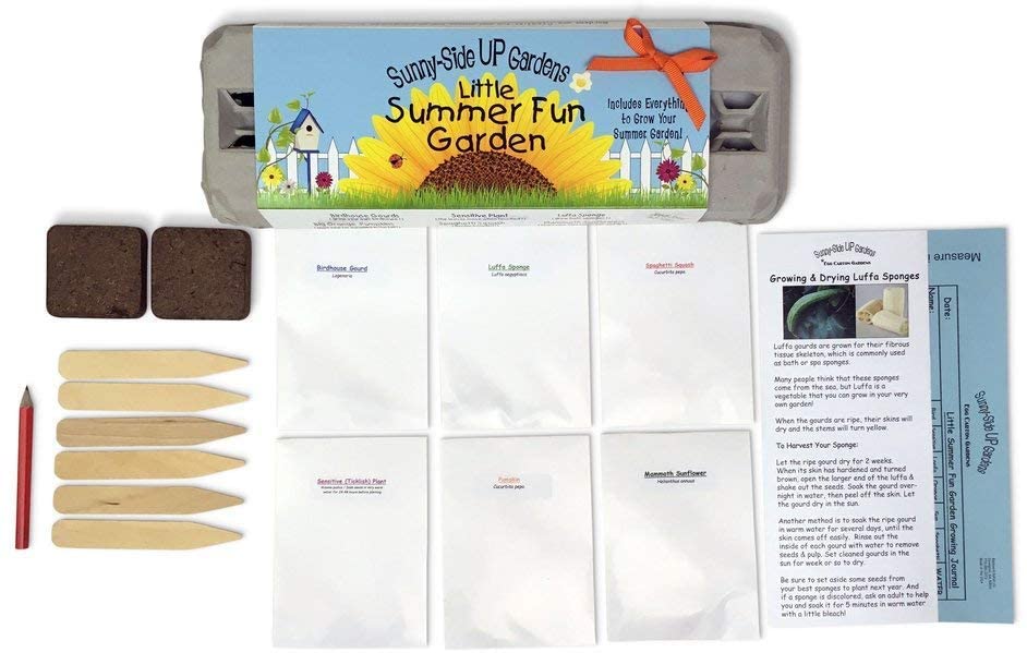 Little Summer Fun Garden