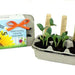 Little Summer Fun Garden