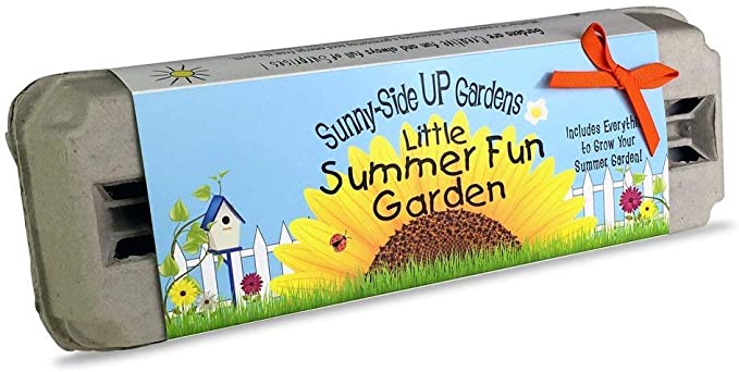 Little Summer Fun Garden