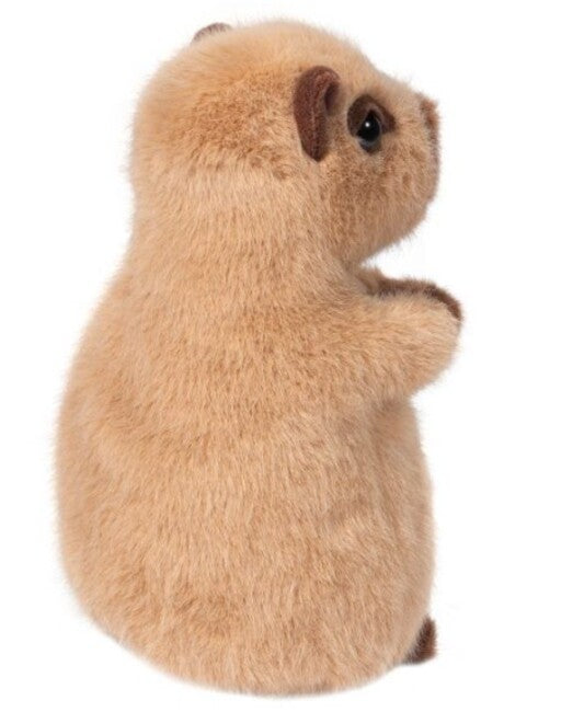 Chattie Capybara Mini