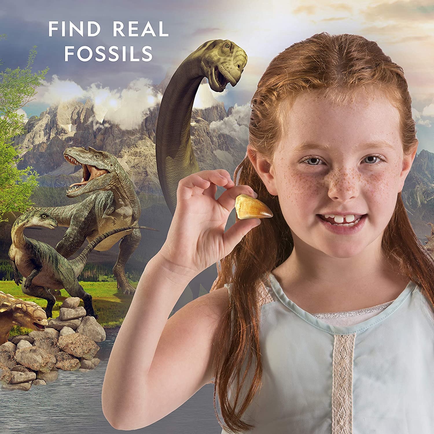 Ng Dino Fossil Dig Kit