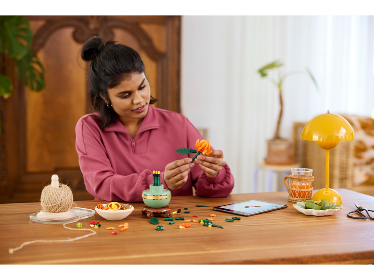Chrysanthemum Flower