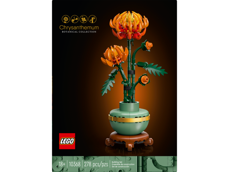 Chrysanthemum Flower