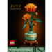 Chrysanthemum Flower