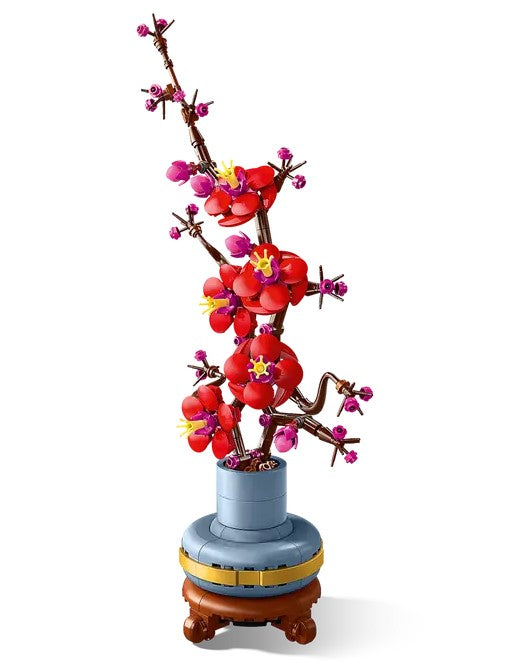Plum Blossom Flower