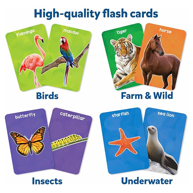 First 100 Animals Flash Cards
