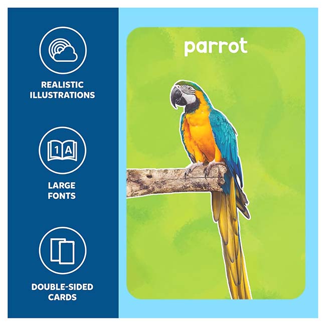 First 100 Animals Flash Cards