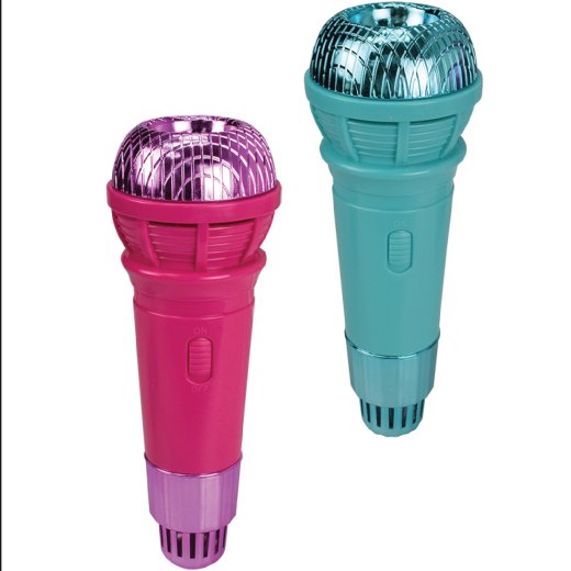 Echo Mic