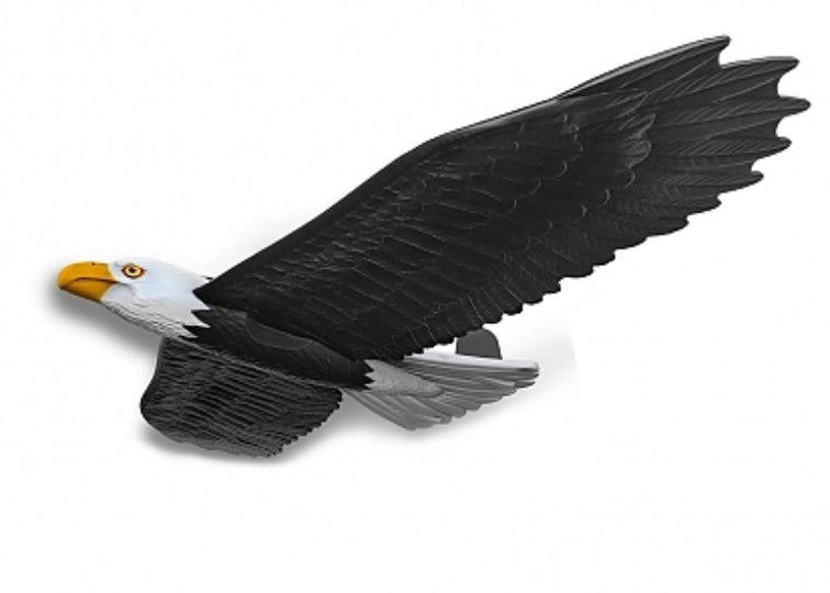 Real Flyers Eagle