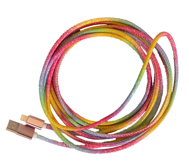 Simply Southern iPhone Accessory Charger