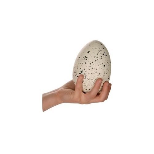 GINORMOUS GROW DINO EGG