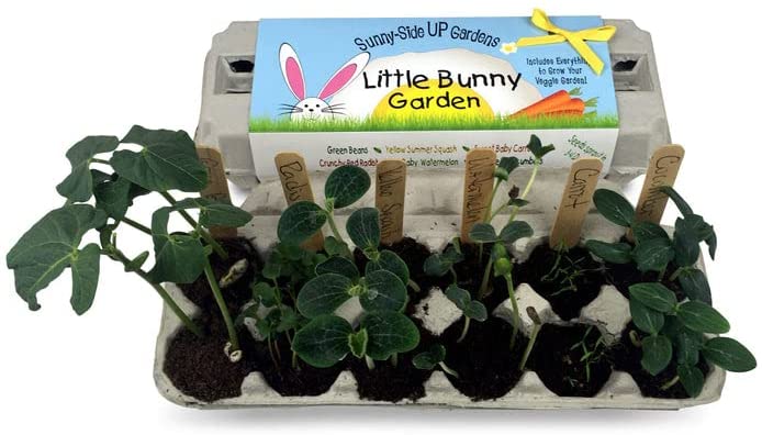 Little Bunny Garden Kit