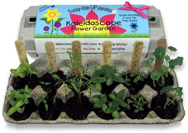 Kaleidoscope Garden Kit