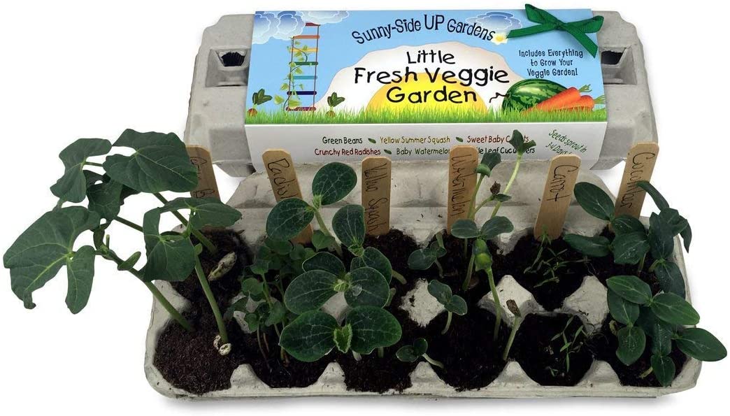 Sunny Side Up Veggie Garden Kit